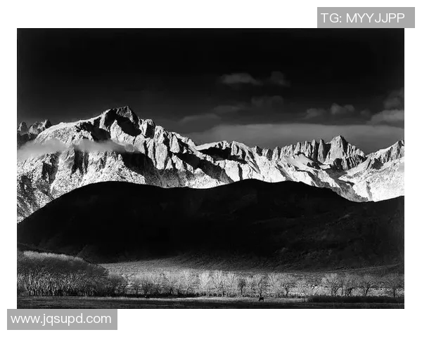 亚当斯的传奇人生与影响力探讨:从个人成就到社会贡献的全景分析 亚当斯的传奇人生与影响力探讨:从个人成就到社会贡献的全景分析