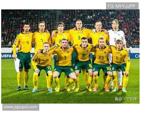 世界杯精彩对决法国队迎战立陶宛队期待激烈比赛与精彩瞬间