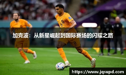 凤凰联盟平台注册