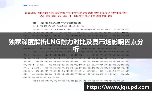 独家深度解析LNG耐力对比及其市场影响因素分析